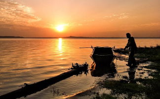 光影瞬間，生活之美 手機攝影作品精選賞析